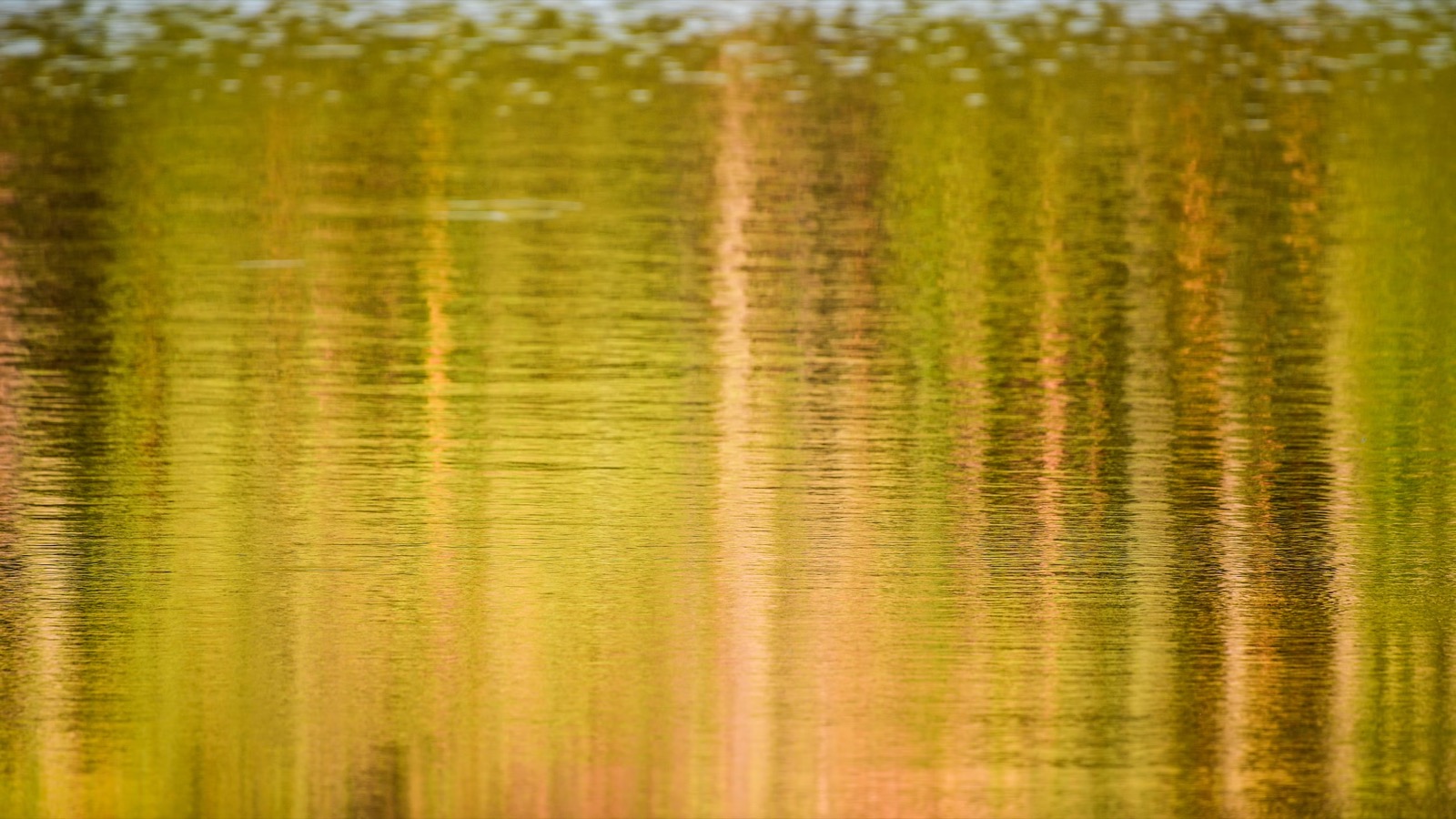 16:9 aspect ratio